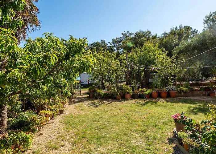 公寓 By The Sea Privlaka, Zadar - 666 普利拉卡